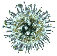 hepatit c virüsü